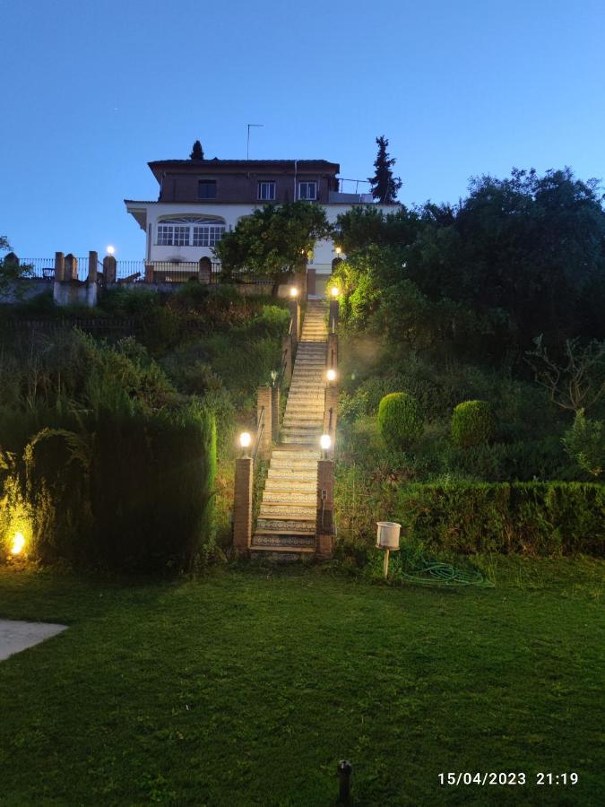 Apartament Cipreses *