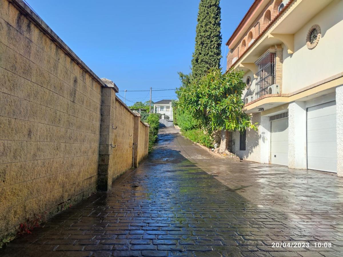 Apartament Cipreses